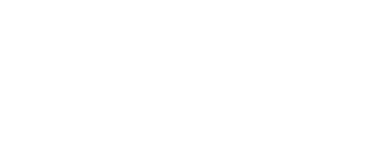 Vámkapu Zrt. logo
